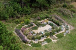 Crearon un laberinto de flores silvestres nativas en un lugar muy especial