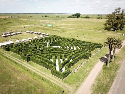 El laberinto de Puesto Viejo invita a perderse en las encrucijadas de su diseño.
Gentileza Puesto Viejo.