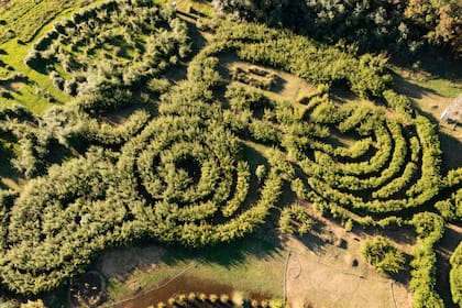 El laberinto se puede visitar sábados, domingos y feriados de 11.30 a 17.30