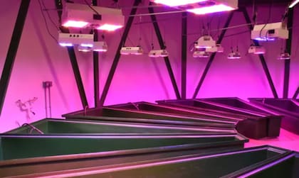 El laboratorio de acuaponía para que los residentes cultiven sus propias frutas y verduras