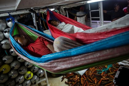 Los pescadores descansan en hamacas en la costa de Miskito