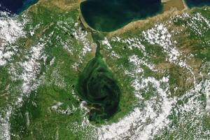 Por qué el lago Maracaibo se está volviendo verde y las consecuencias de este fenómeno