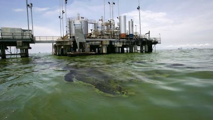 El Lago de Maracaibo ha adquirido un intenso color verde en algunas zonas debido a los derrames de petróleo y el crecimiento descontrolado de algas