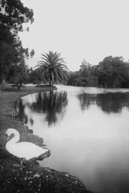 El lago de Palermo, en el año 1925