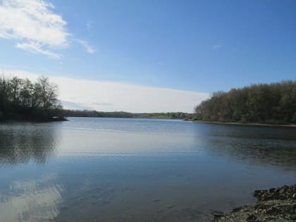 El lago del Codorus State Park llenó de cadáveres de peces durante los últimos días