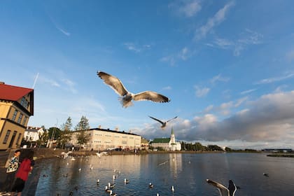 El lago Tjörnin, en el centro histórico de Reikiavik.