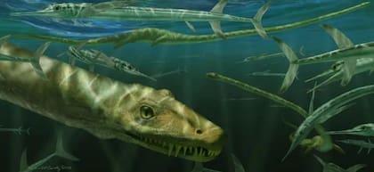 El largo cuello del Dinocephalosaurus orientalis es una de sus principales características.