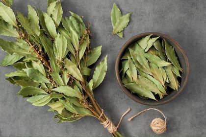 El laurel es ideal para alejar las malas energías