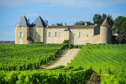 El legandario Château d’Yquem, en Burdeos, donde se produce uno de los vinos más legendarios que emplean el Semillón