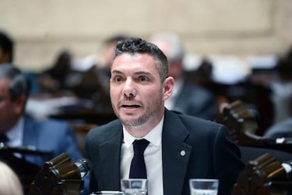 El legislador del PRO, Damián Arabia