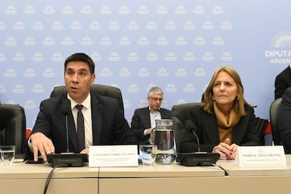 El libertario Facundo Correa Llano, presidente del plenario, junto con la secretaria de Energía, María Tettamanti