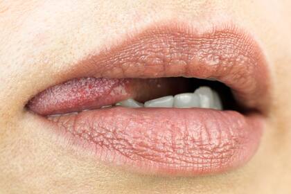 El libro abarca tanto el sexo como la abstinencia