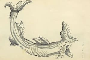 El libro era fiel a la Revolución Científica, la cual sentó las bases de la Ilustración al enfatizar la razón, la observación empírica y el método científico