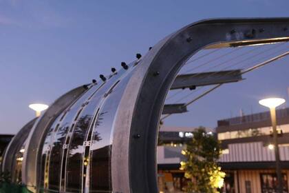 El líder del proyecto aspira a impulsar el sistema de alumbrado público interactivo en Sídney con los paneles solares flexibles