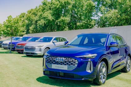El line up del nuevo Audi Q5.
