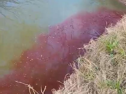 El líquido rojo desemboca en el Río Areco
