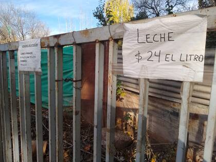 El litro de leche se comercializa a 24 pesos; la mitad del valor del producto en un supermercado.