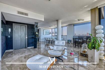 El living de la unidad de 300 metros cuadrados Foto: gentileza ZonaProp