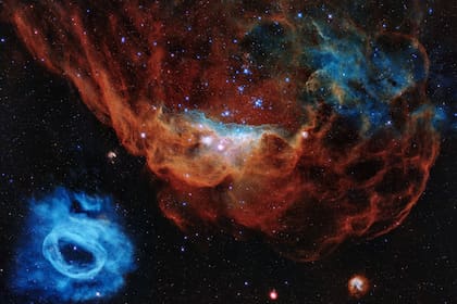 El llamado Arrecife Cósmico muetra a nebulosa gigante NGC 2014 (en rojo) y su vecina NGC 2020; juntas forman parte de una gran estrella de formación en la Gran Nube de Magallanes