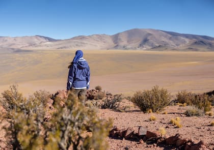 El Llano de Los Leones es uno de los sitios más lindos del parque.