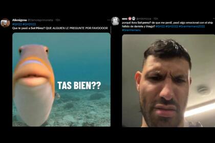 El llanto de Sol Pérez generó una catarata de memes (Captura Twitter)
