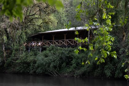 El lodge se encuentra frente a la Reserva de la Biósfera Yaboti, entre cascadas y más de 50 especies que conviven en armonía.