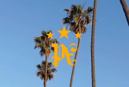 El logo de la marca Palm Angels reversionado con las tres estrellas de la selección nacional