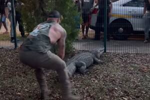 La brutal pelea entre un luchador de MMA y un caimán en una escuela
