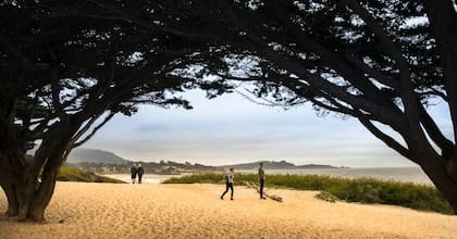 El lugar destaca por sus playas y paisajes, además de otras atracciones (Instagram/@thecypressinn)