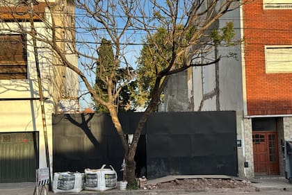 El lugar donde encontraron los restos.