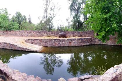 El lugar donde estaba la hipopótama