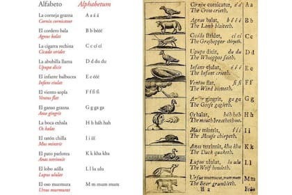 El maestro explica que primero el alumno debe aprender "los sonidos sencillos ... que los seres vivos saben hacer y tu lengua sabe imitar" (A la izquierda, imagen de "Orbis sensualium pictus" de la edición publicada por Libros del Zorro Rojo)