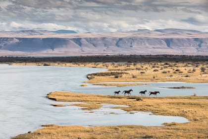El magnífico paisaje del Lago Posadas