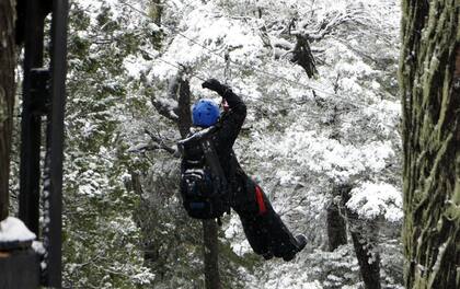 Los ejecutivos se desestresan pendiendo sobre el bosque
