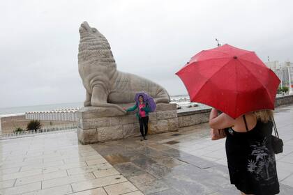 El mal tiempo no impide la típica foto con el Lobo de la Rambla de Mar del Plata
2013
