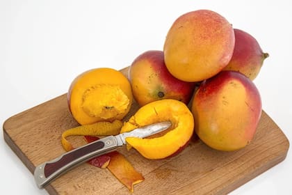 El mango se distingue como una fruta que aporta frescura (Foto Pexels)