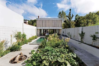 Paisaje con nativas diseñado por el Estudio Bulla para la casa Memo, proyecto de los arquitectos Gonzalo Bardach y Matías Mosquera.