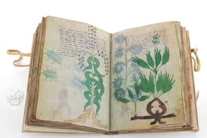 Descifraron un manuscrito censurado en la Edad Media con ilustraciones subidas de tono