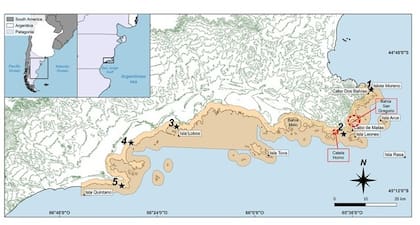 El mapa de la zona analizada por los investigadores