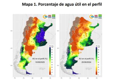 El mapa de los porcentajes de agua útil en el perfil