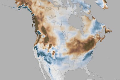 El mapa muestra la cantidad de nieve durante inviernos con presencia del fenómeno de El Niño; los colores azules son más nieve que la media; los marrones menos nieve que el promedio
