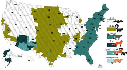 El mapa muestra la distribución de las variantes de la rabia y los tipos de animales que son portadores en diferentes regiones de EE.UU.