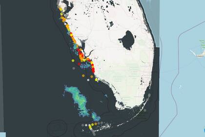 El mapa muestra los puntos donde la población podría estar expuesta a riesgos por la marea roja