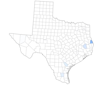 El mapa que muestra dónde no hay luz en Texas