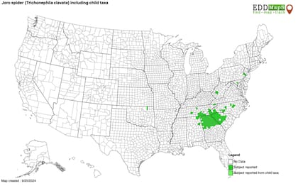 El mapa que muestra la zona en donde fueron avistadas las arañas joro (Joro Watch)