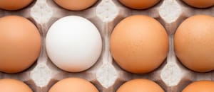 Un año récord terminó con una señal de alerta para el negocio del huevo