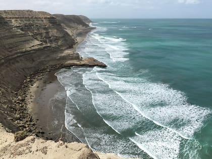 El mar argentino es único en el mundo por su biodiversidad (Foto: Valeria Falabella)