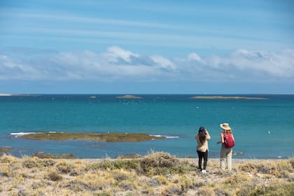 El mar muestra muchas cosas: bichitos sobre las piedras, caracoles, cangrejos y variedades de algas.