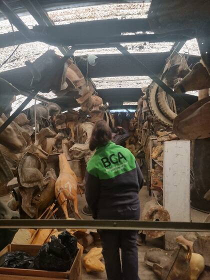 El material secuestrado está conformado por piezas derivadas de la fauna silvestre