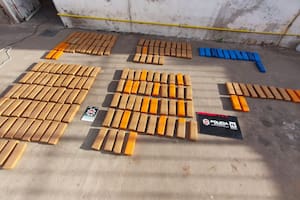 Buscaban ganado y encontraron 109 kilos de marihuana escondidos en una carnicería
